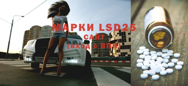 индика Карталы