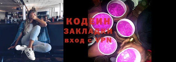 индика Карталы