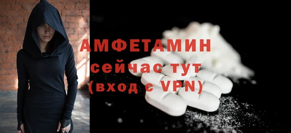индика Карталы