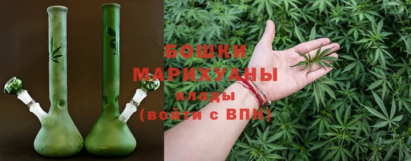 МДПВ Карпинск