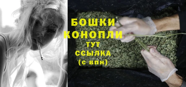 молекула духа Каменногорск