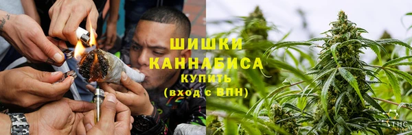 индика Карталы