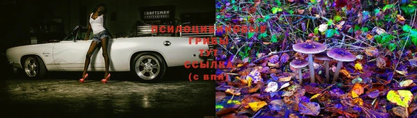 индика Карталы