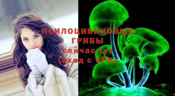 индика Карталы