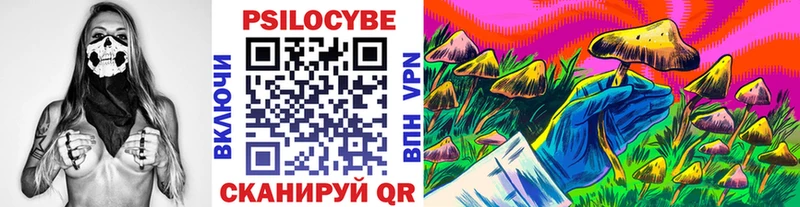 Купить закладки Шарья Галлюциногенные грибы MAGIC MUSHROOMS